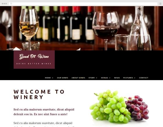 sito web dello sviluppatore cantina